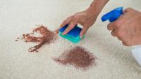 Carpet Cleaning Parmelia image 3